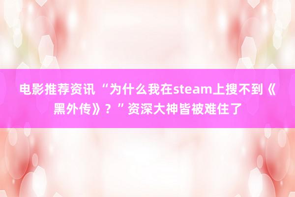 电影推荐资讯 “为什么我在steam上搜不到《黑外传》？”资深大神皆被难住了