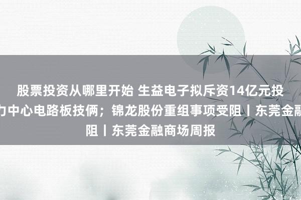 游戏心得交流 权门媳妇拼生娃，徐子淇生4子奖励10个亿，郭晶晶依然是“冠军”