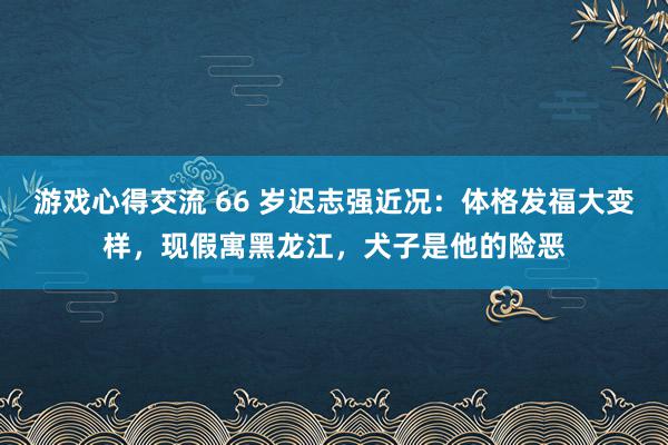 游戏心得交流 66 岁迟志强近况：体格发福大变样，现假寓黑龙江，犬子是他的险恶