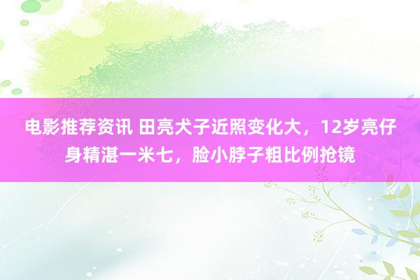 电影推荐资讯 田亮犬子近照变化大，12岁亮仔身精湛一米七，脸小脖子粗比例抢镜