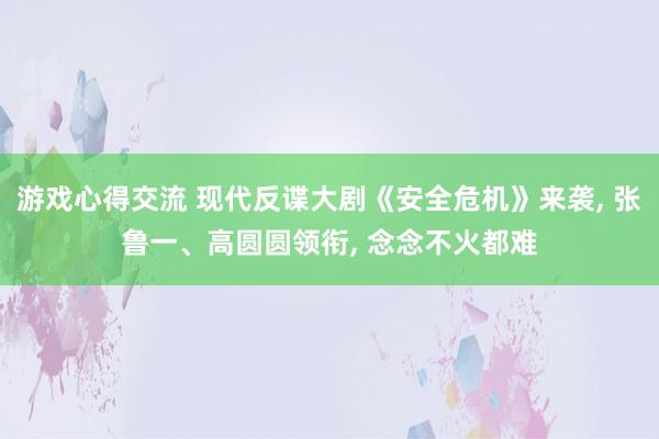 游戏心得交流 现代反谍大剧《安全危机》来袭, 张鲁一、高圆圆领衔, 念念不火都难