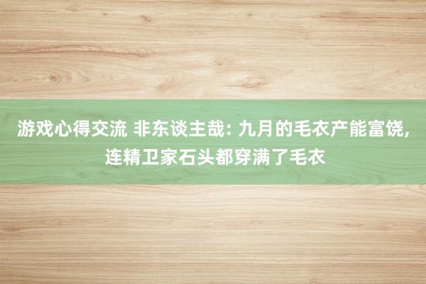 游戏心得交流 非东谈主哉: 九月的毛衣产能富饶, 连精卫家石头都穿满了毛衣