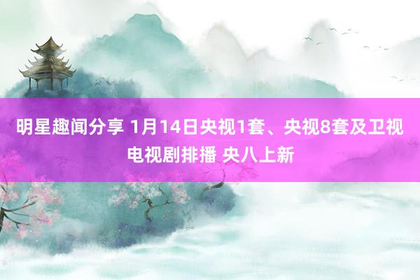 明星趣闻分享 1月14日央视1套、央视8套及卫视电视剧排播 央八上新