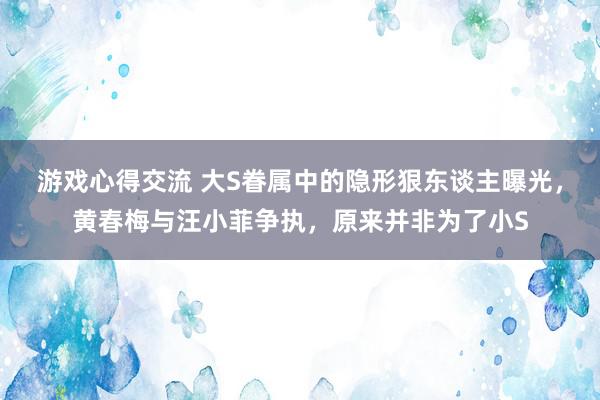 游戏心得交流 大S眷属中的隐形狠东谈主曝光，黄春梅与汪小菲争执，原来并非为了小S