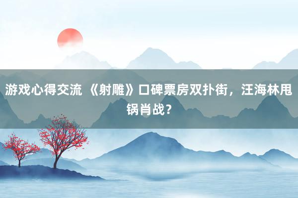 游戏心得交流 《射雕》口碑票房双扑街，汪海林甩锅肖战？